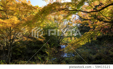 Kaneyama Falls（秋季） 59413121