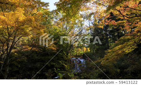 Kaneyama Falls(秋季) Kaneyama Falls(秋季) 59413122