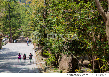 出雲大社神社的方法 出雲大社神社的方法 59413924