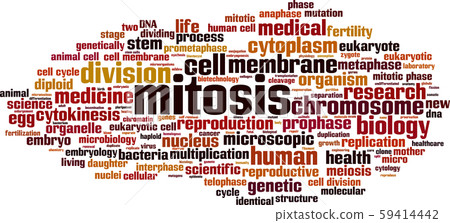 Mitosis word cloud Mitosis word cloud 59414442