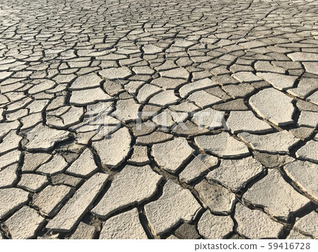 乾地 乾地 59416728