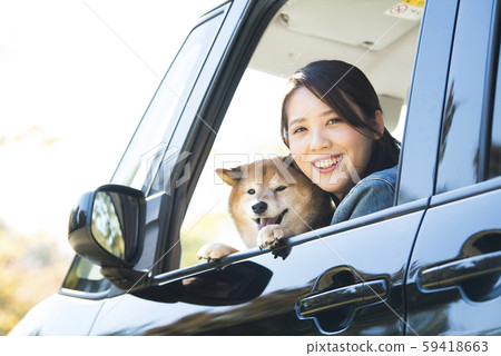 Shiba Inu and Women Drive Shiba Inu and Women Drive 59418663