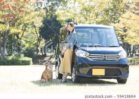柴犬和婦女驅動器 59418664