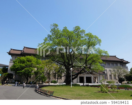 上野公園國立博物館 上野公園國立博物館 59419411