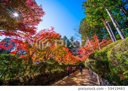 高野山 高野山 59419463