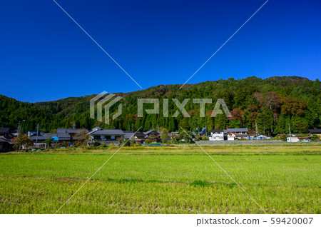 滋賀縣湖北地區秋季農村 59420007