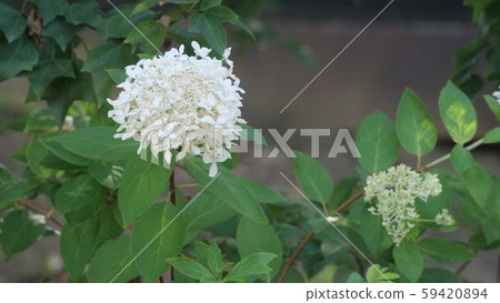 Seoul Seoul 59420894