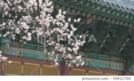 Deoksugung Palace in Spring Deoksugung Palace in Spring 59422706