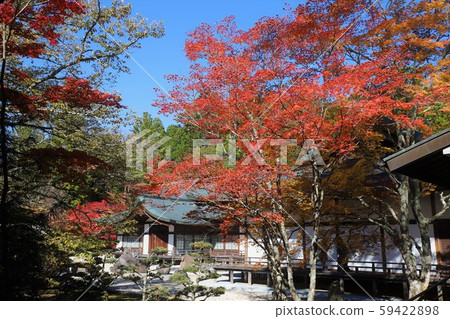 Autumn leaves of Mt. Koya 59422898