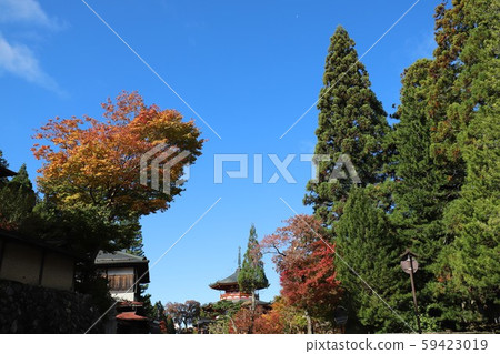 Autumn leaves of Mt. Koya 59423019