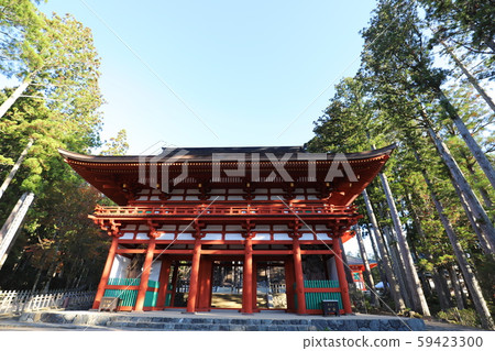 高野山的秋葉 59423300