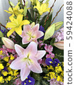 Lily  59424088