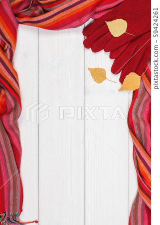 Frame of gloves and shawl for woman 59424261