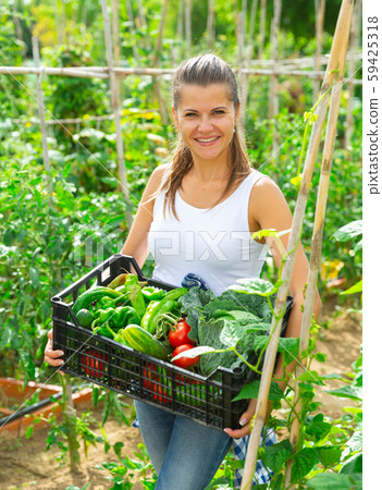 Happy woman with basket of fresh vegetables during harvesting Happy woman with basket of fresh vegetables during harvesting 59425318