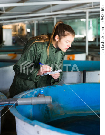 Woman inspecting tanks for rearing trout on farm Woman inspecting tanks for rearing trout on farm 59425693