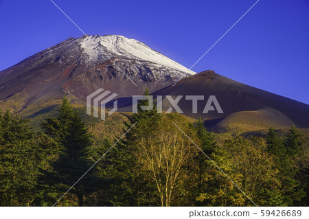 （靜岡）第一場降雪的早晨富士山和會營火山口染成紅色 59426689