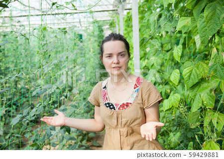 Serious female horticulturist standing near pea and soy seedlings 59429881