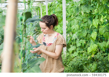 Woman working in glasshousw 59430175