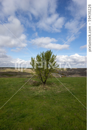 Roads around the town of Medinaceli, Soria 59430226