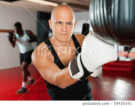 Training of muscular friendly boxers in the gym 59430341