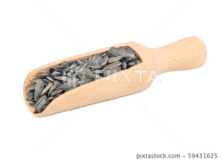 Sunflower seeds in scoop Sunflower seeds in scoop 59431625