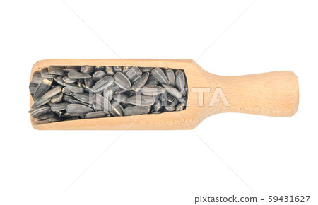 Sunflower seeds in scoop Sunflower seeds in scoop 59431627