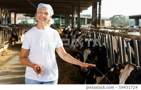 female farmer posing in cowshed female farmer posing in cowshed 59431724