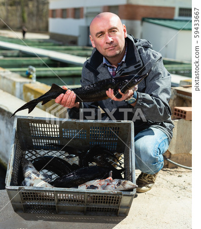 Man demonstrating sturgeon Man demonstrating sturgeon 59433667
