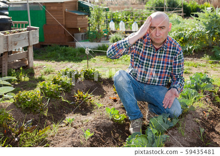 Dissatisfied farmer checking sprouts Dissatisfied farmer checking sprouts 59435481