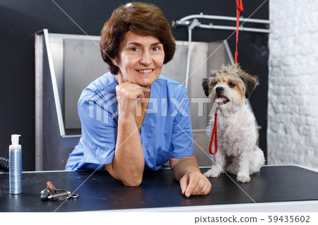 Female groomer with havanese puppy 59435602