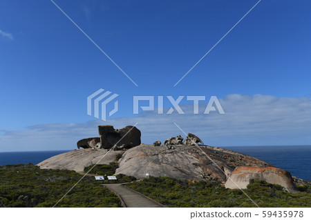 澳大利亞袋鼠島 澳大利亞袋鼠島 59435978