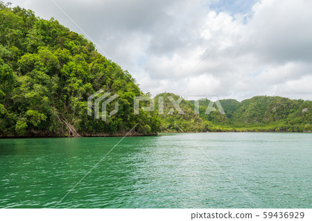 Mangroves and caves Dominican republic 59436929