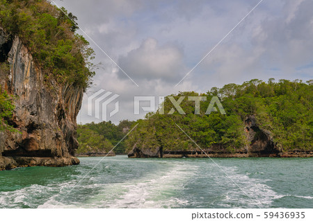 Rich tropical forest Samana peninsula Rich tropical forest Samana peninsula 59436935