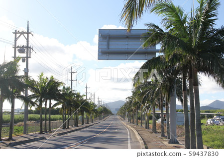 Road in Shiraho area, Ishigaki Island, Okinawa Prefecture 59437830