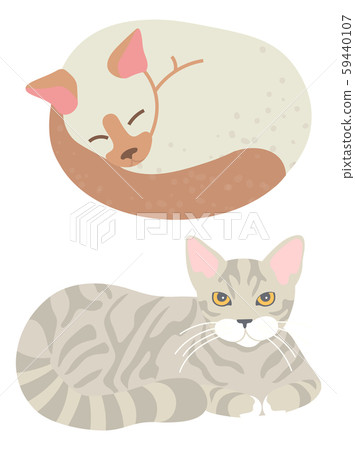 Tabby Cat, Sleeping Domestic Cat, Home Vector 59440107