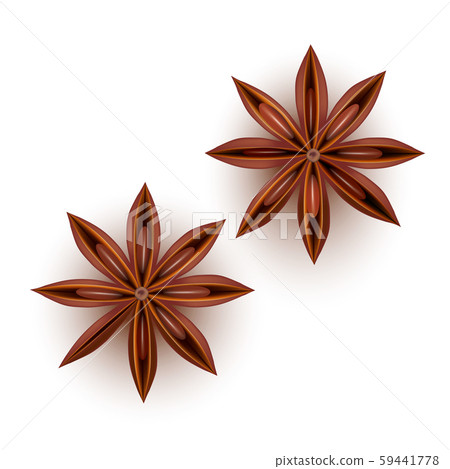 Realistic Detailed 3d Star Aniseed Set. Vector 59441778
