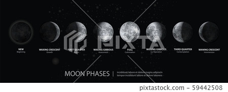 Total Eclipse of the Moon Vector illustration Total Eclipse of the Moon Vector illustration 59442508