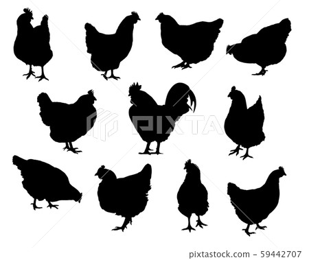 Set of realistic silhouettes hens and chickens - Set of realistic silhouettes hens and chickens - 59442707
