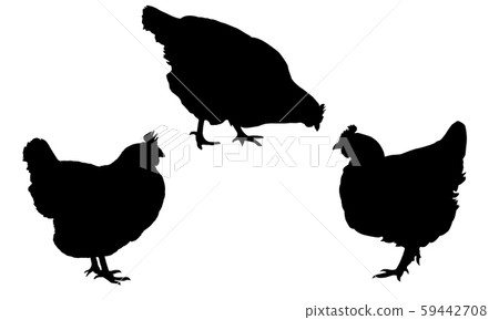 vector, silhouette, hen 59442708