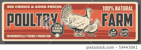 Turkey and quail, poultry farm. Animal farming 59443061