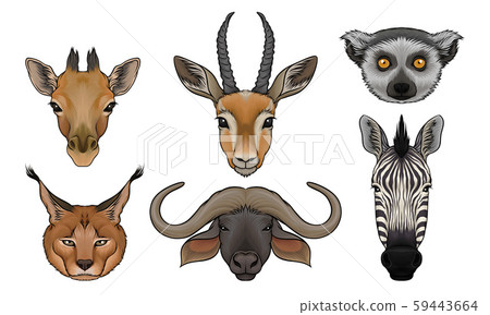Wild Animals Muzzles Vector Set. Highly Detailed Neb Collection Wild Animals Muzzles Vector Set. Highly Detailed Neb Collection 59443664