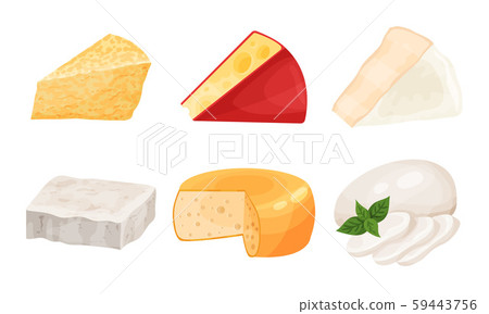 Different Noble Cheese Vector Collection. Dairy Product Diversity Concept 59443756