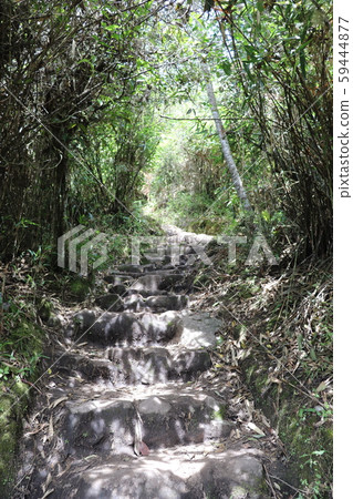 Peru, Machu Picchu, Machu Picchu mountain trail 59444877