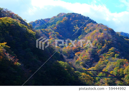 Autumn leaves of Nasu 59444992