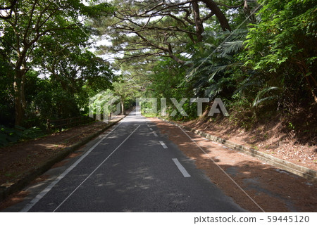 Road of Ishigakijima 59445120