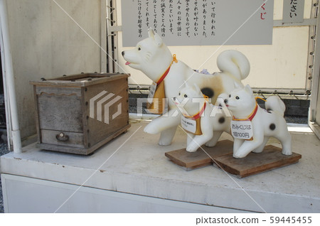 琴平神社 59445455