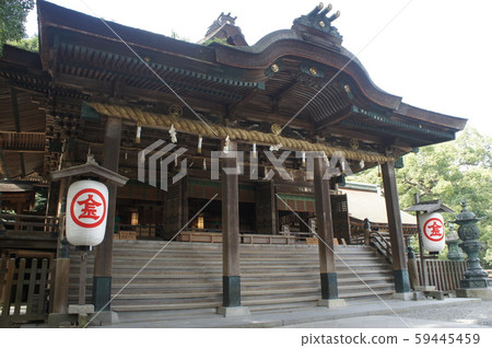 琴平神社 59445459