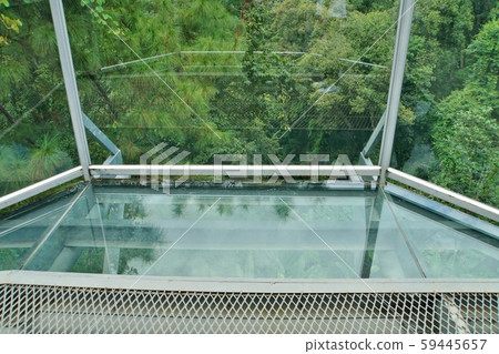 chiang mai, botanical garden, air 59445657