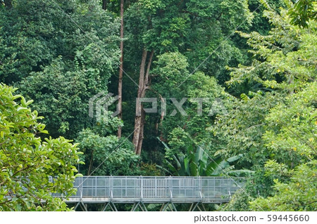 泰國清邁 清邁 植物園 59445660