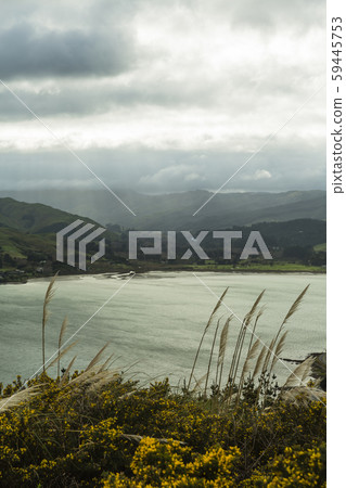 New Zealand Porirua Spinnaker Summit Lookout New Zealand Porirua Spinnaker Summit Lookout 59445753